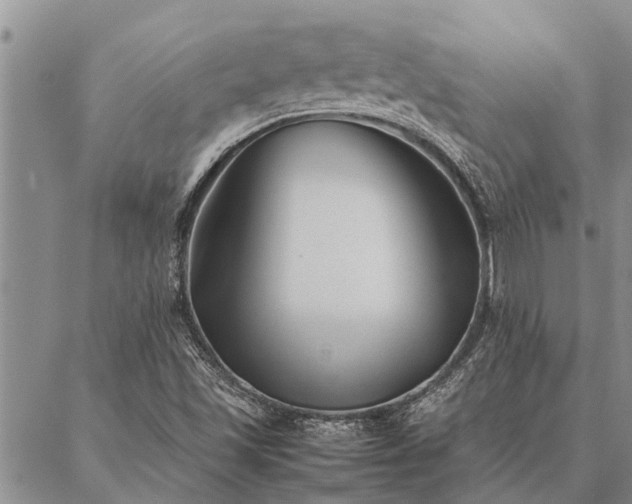 X0000086891501200704231115