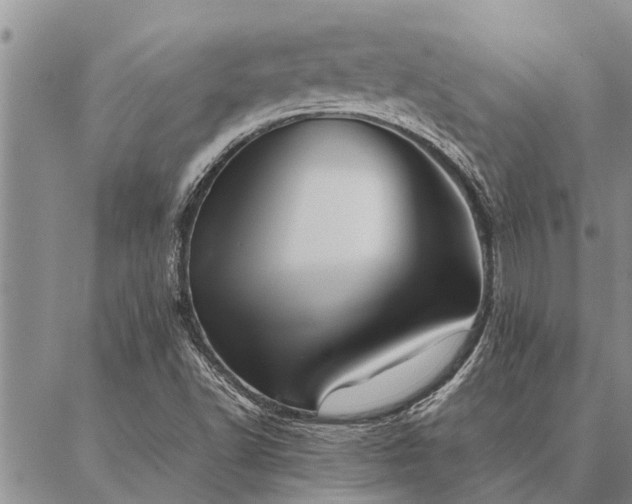 X0000086891502200704231115