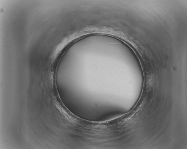 X0000086891503200704231115