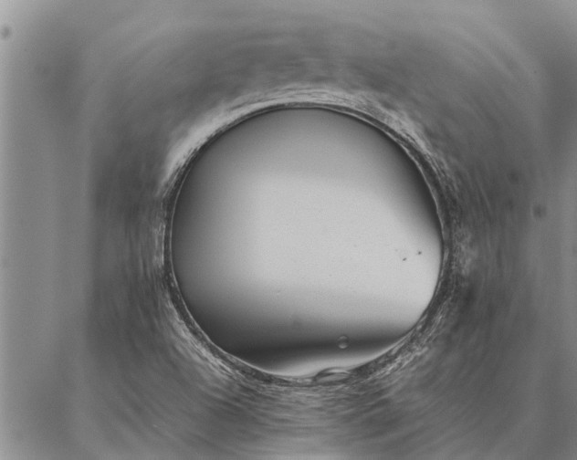 X0000086891504200704231115