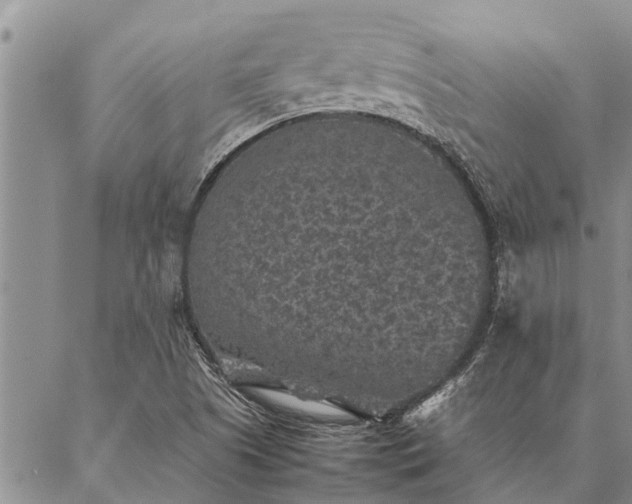 X0000086891505200704231115