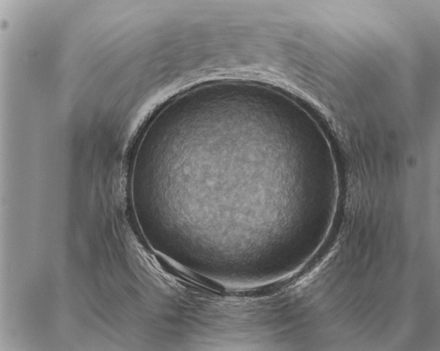 X0000086891506200704231115