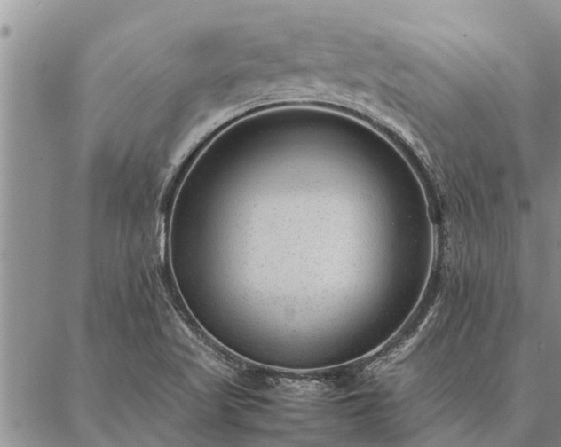 X0000086891509200704231115