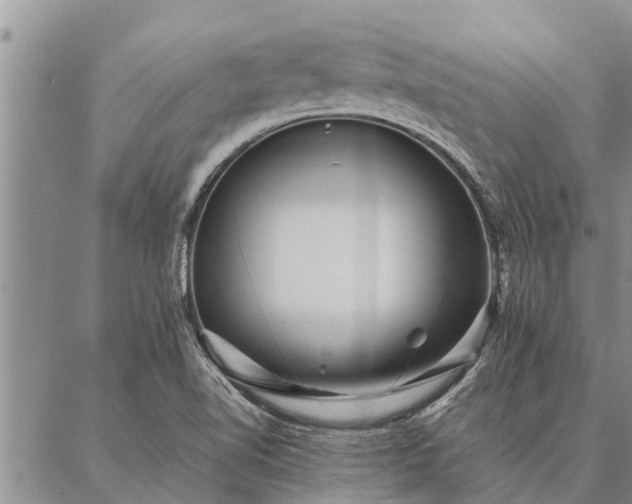 X0000086891510200704231115