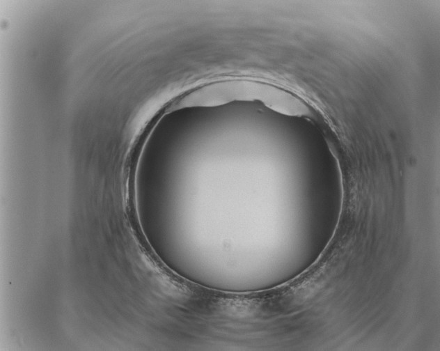 X0000086891511200704231115