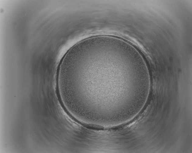 X0000086891512200704231115