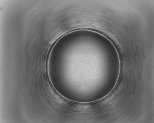 X0000086891513200704231115