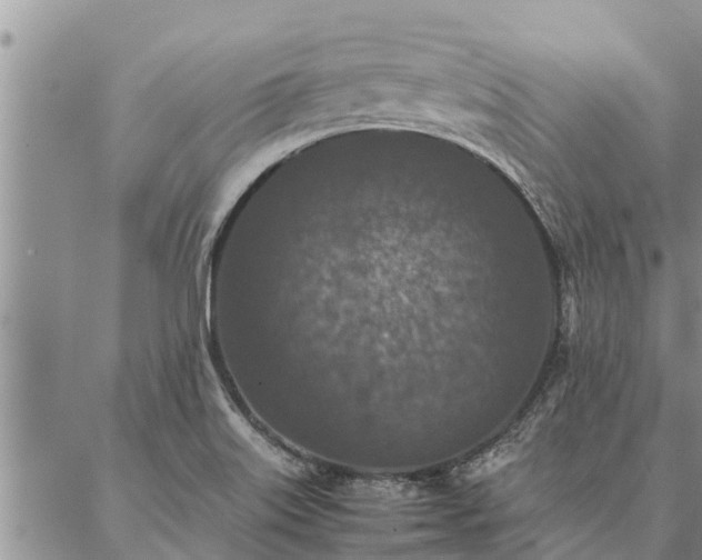 X0000086891515200704231115