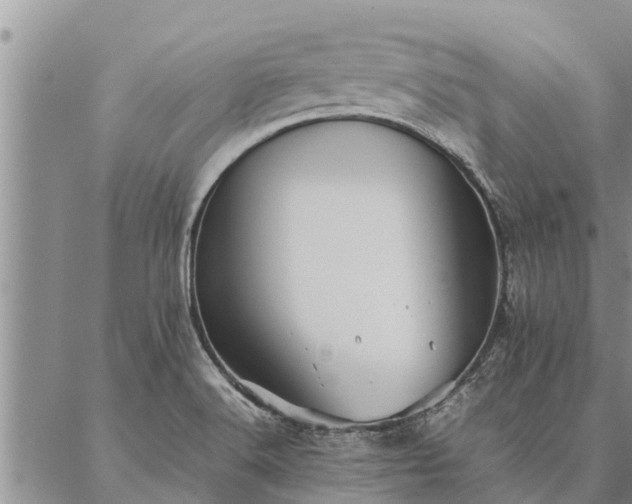 X0000086891516200704231115