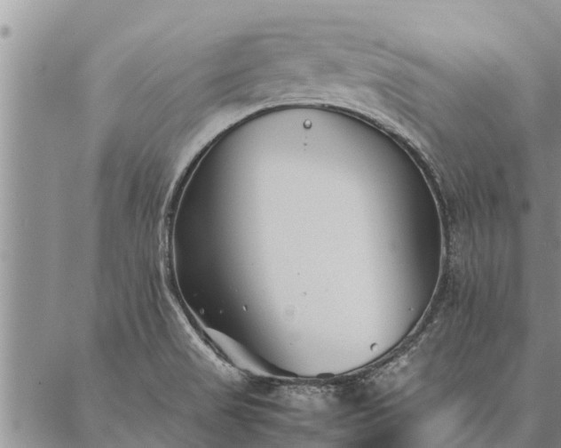 X0000086891517200704231115