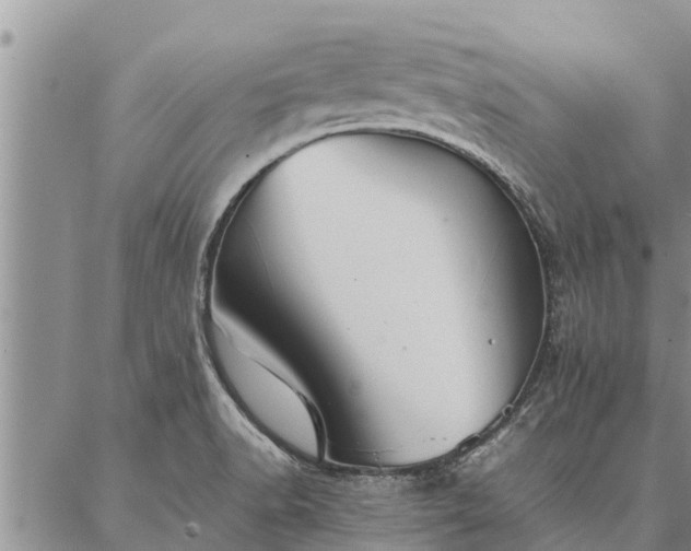 X0000086891518200704231115