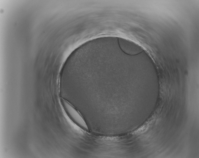 X0000086891519200704231115