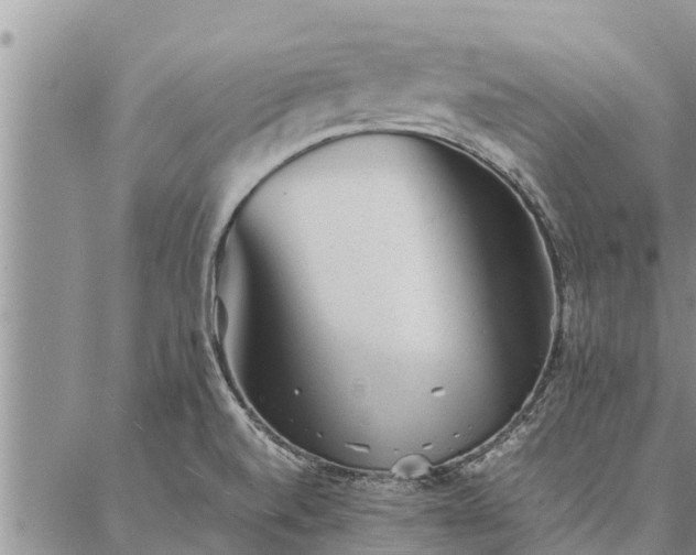 X0000086891520200704231115