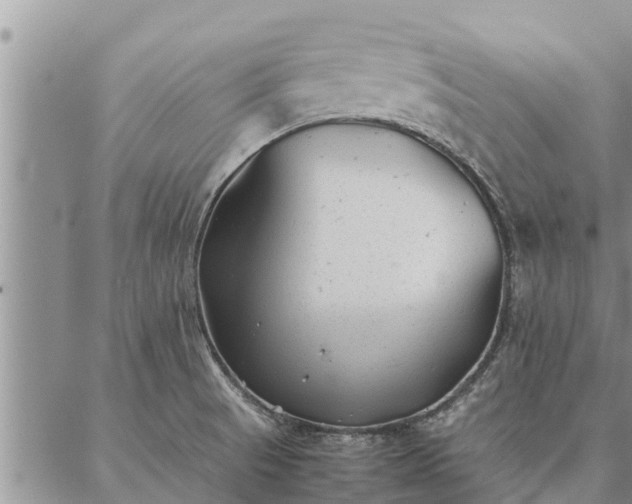 X0000086891521200704231115