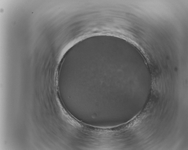 X0000086891522200704231115