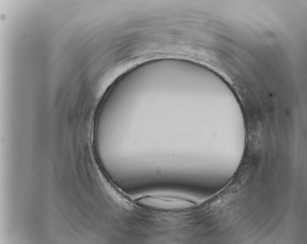 X0000086891523200704231115