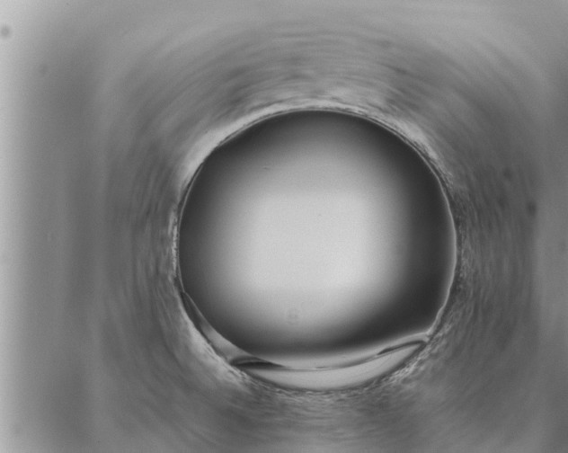 X0000086891524200704231115