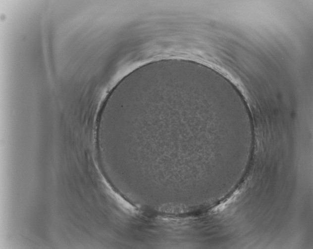 X0000086891525200704231115