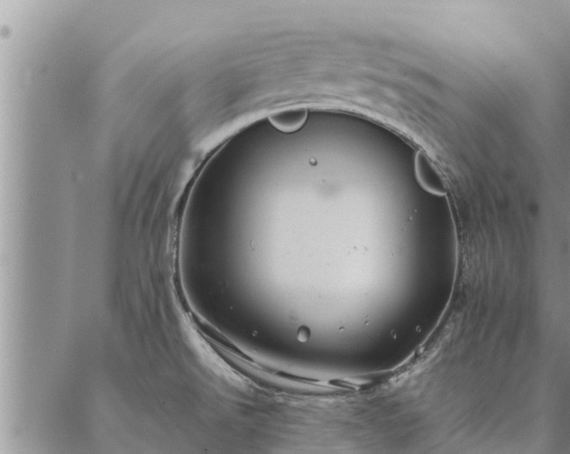 X0000086891526200704231115