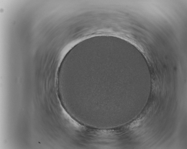 X0000086891527200704231115