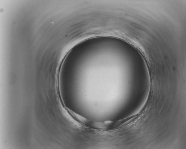 X0000086891528200704231115