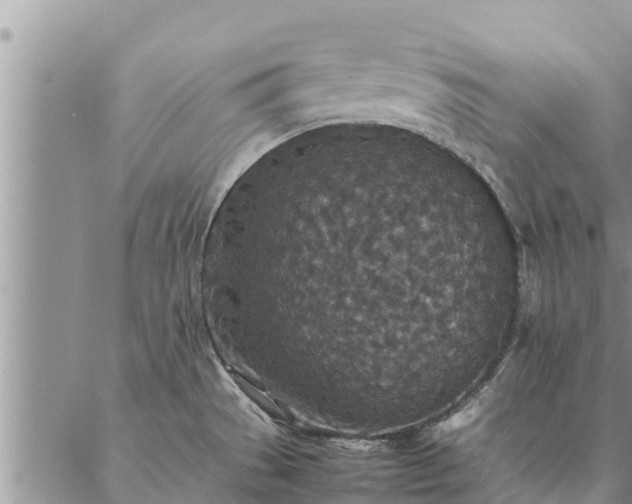 X0000086891529200704231115