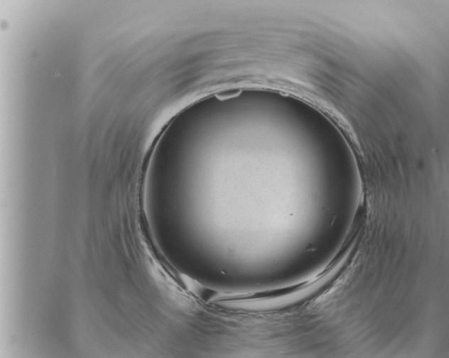 X0000086891530200704231115