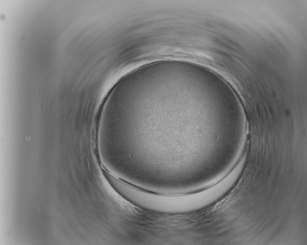 X0000086891531200704231115