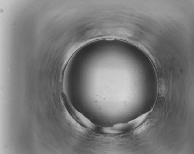 X0000086891532200704231115