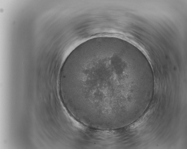 X0000086891533200704231115