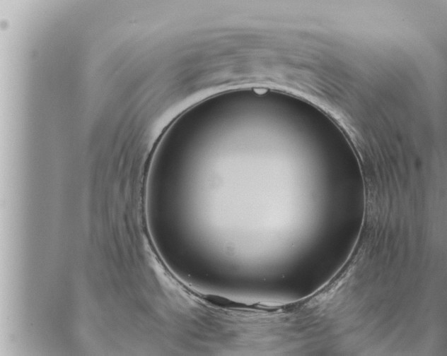 X0000086891534200704231115