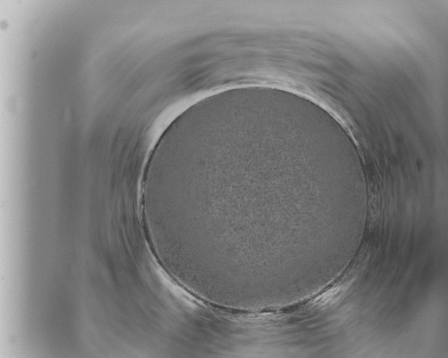 X0000086891535200704231115