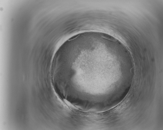 X0000086891536200704231115