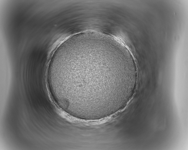 X0000086890001200704301006