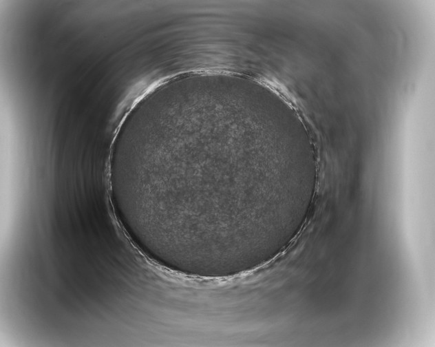 X0000086890002200704301006