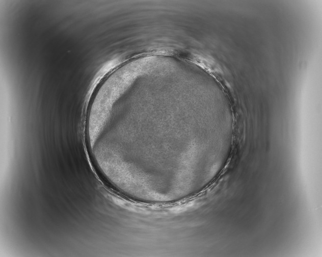 X0000086890003200704301006