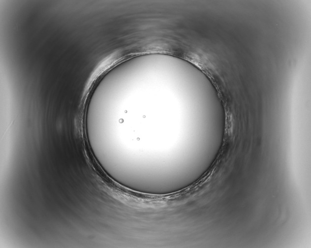 X0000086890004200704301006