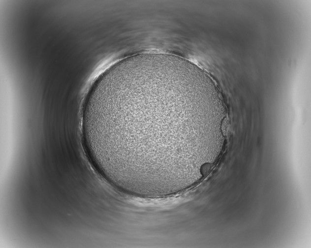 X0000086890005200704301006