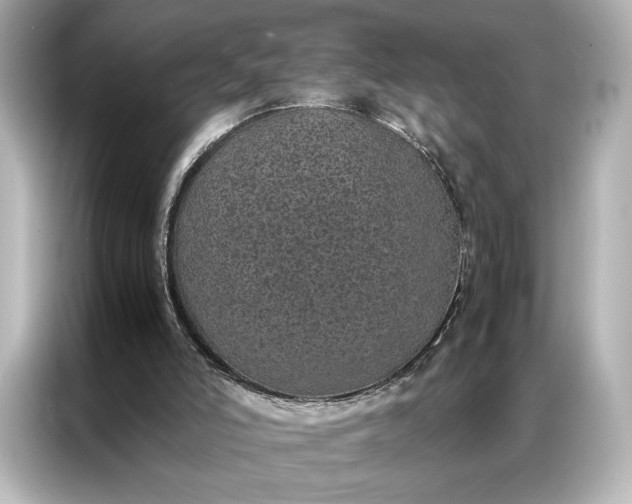 X0000086890006200704301006