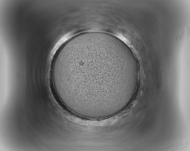 X0000086890007200704301006