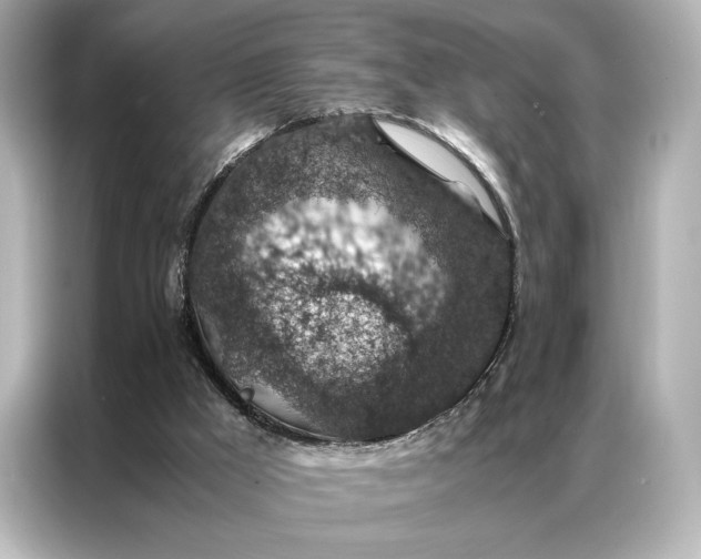 X0000086890009200704301006