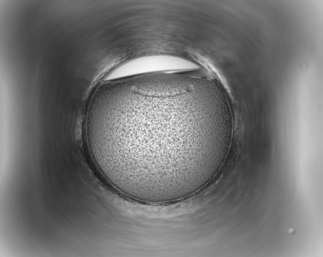 X0000086890010200704301006