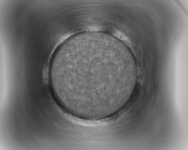 X0000086890012200704301006