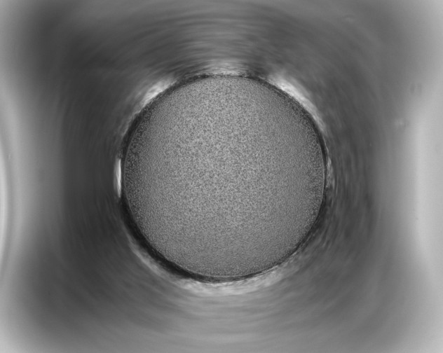 X0000086890013200704301006