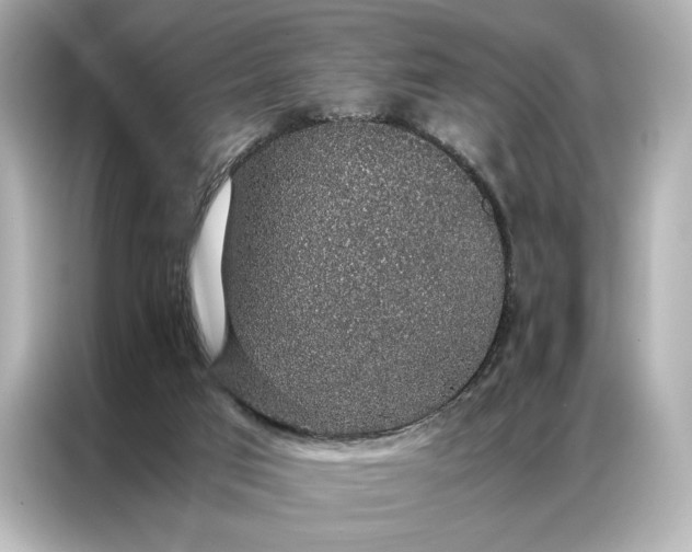 X0000086890017200704301006