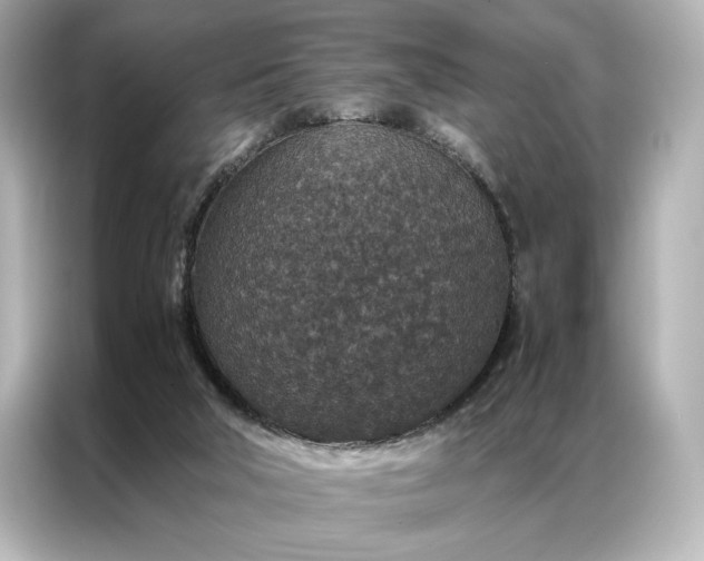 X0000086890018200704301006