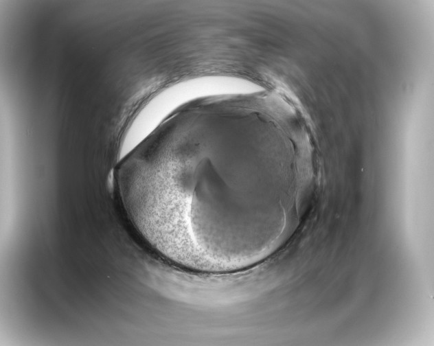 X0000086890019200704301006