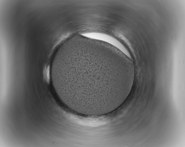 X0000086890020200704301006