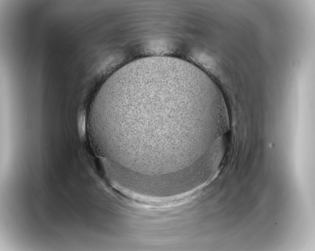 X0000086890021200704301006