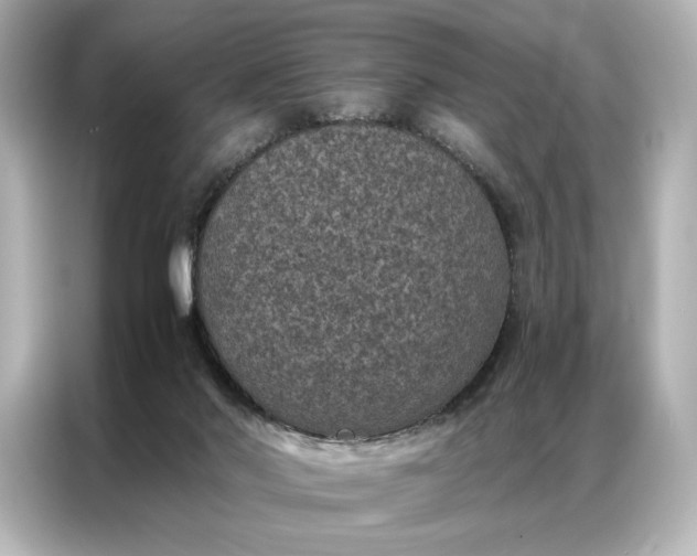 X0000086890022200704301006